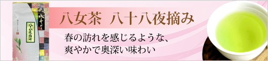 八女茶【八十八夜】