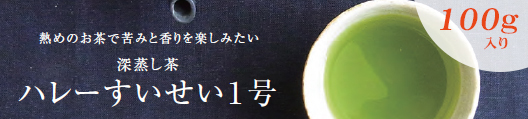 ハレーすいせい１号