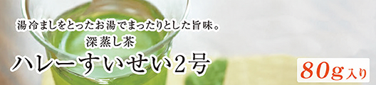 ハレーすいせい２号