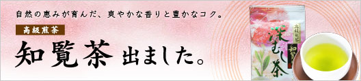 高級知覧茶
